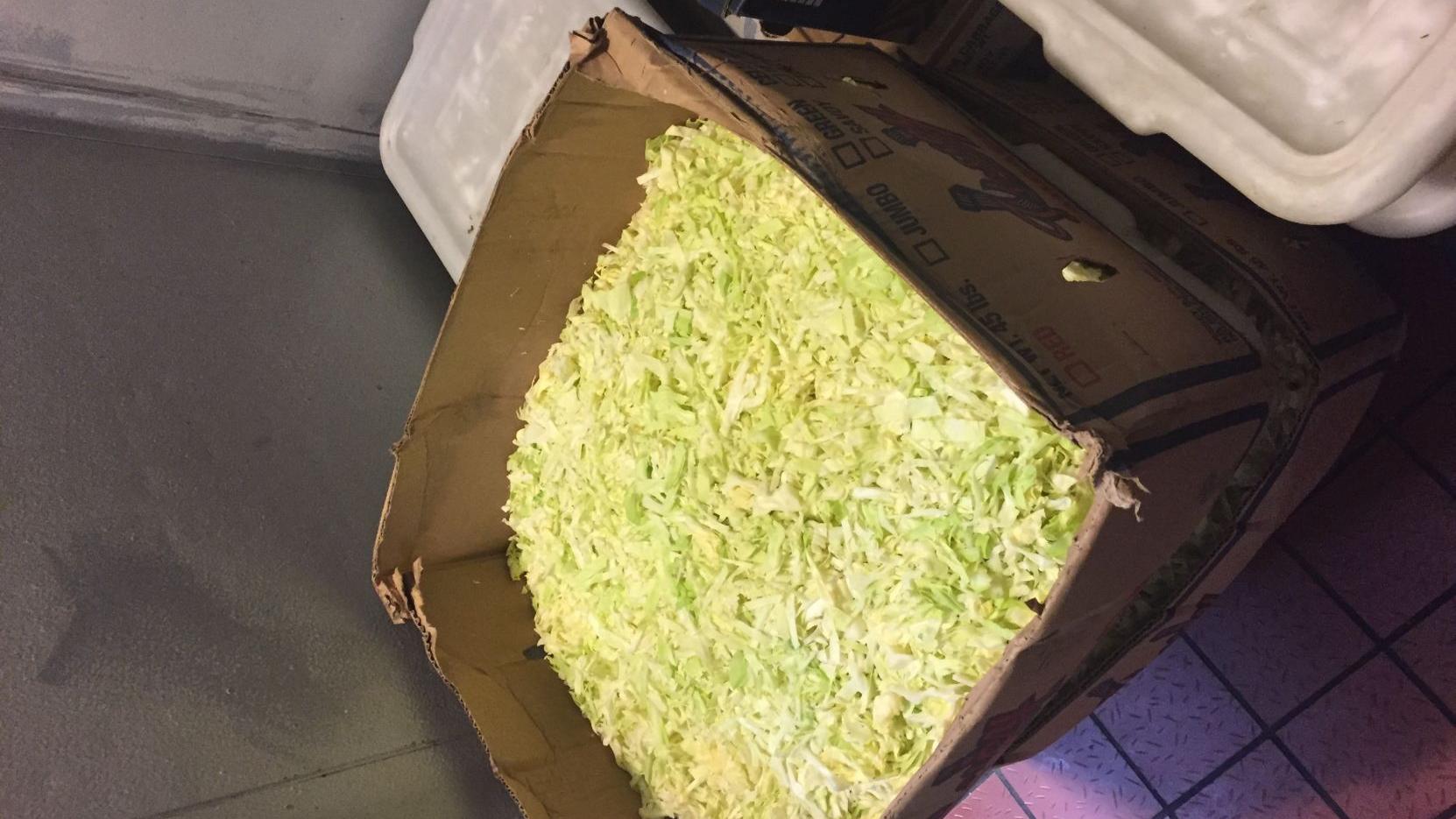 Six restaurants failed Pima County health inspections in December